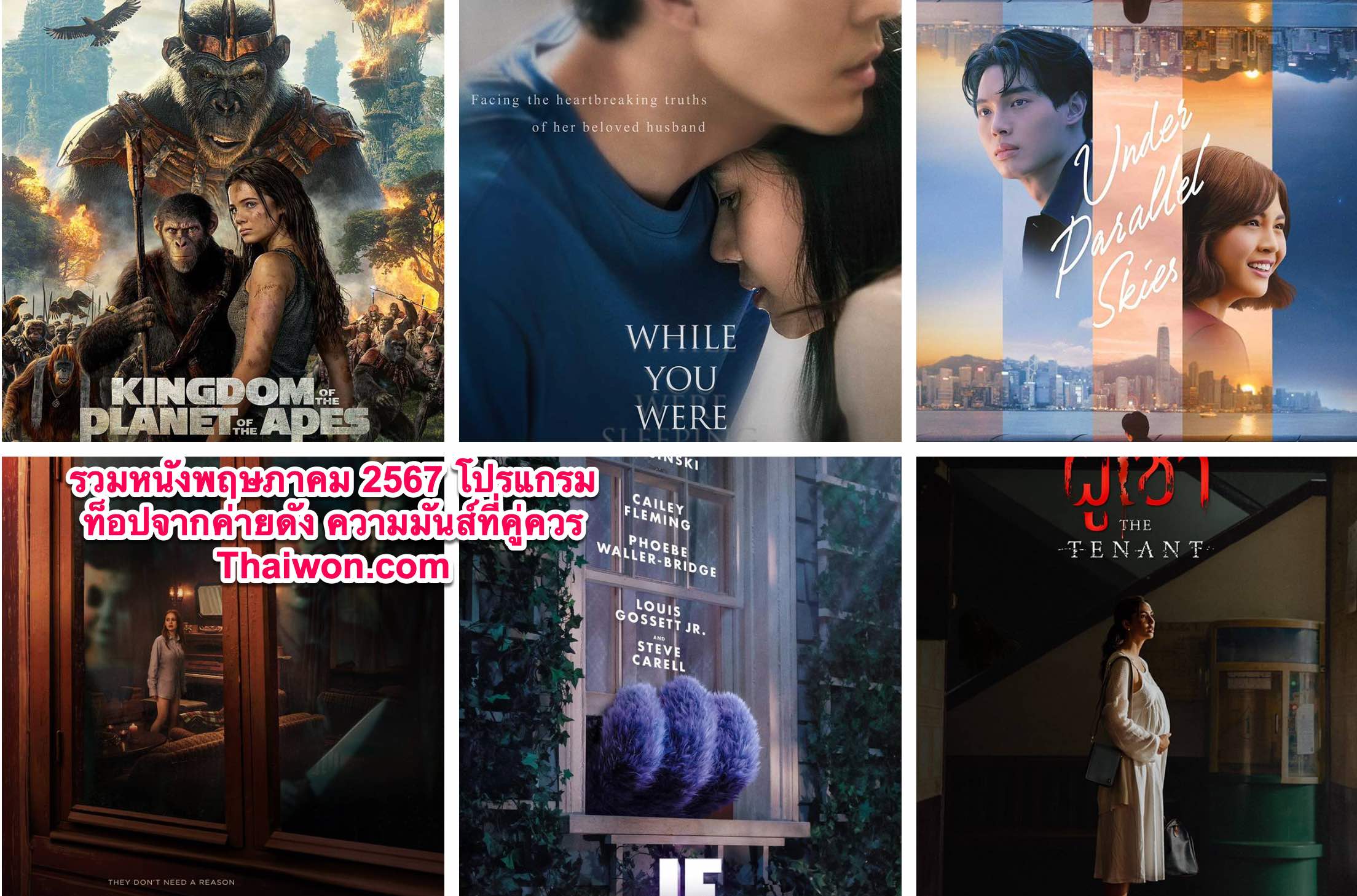 หนังใหม่มีอะไรน่าดูบ้างพฤษภาคม 2567, หนังตลก, หนังจีน, การ์ตูนญี่ปุ่น, หนังเกาหลี, แนะนำอนิเมะจีน, อนิเมะจีนซับไทย, อนิเมะพากย์ไทย